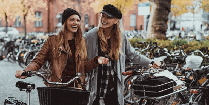 Swedish Institute Study Scholarship